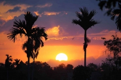 sun3