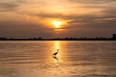 sunset-tour1